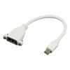 Adapter DisplayPort mini to DisplayPort (musko-zenski)