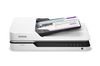 EPSON WorkForce DS-1630, A4, Flatbed color document scanner, 600/1200dpi, 25ppm, duplex, USB/LAN